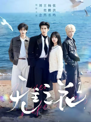 无主之花1（72集）爱上这部短剧推荐给你们