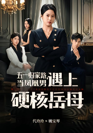 五一归家路，当凤凰男遇上硬核岳母（60集）热门短剧免费看全集