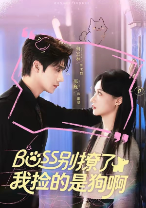 Boss别撩了，我捡的是狗呀（65集）免费观看全集的短剧网站精选